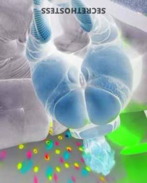 Alina 21Yrs Old Escort Cleveland OH Image - 1