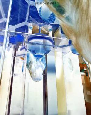 26 year old Escort in Richmond VA Amber - The GFE and PSE Experts In Town