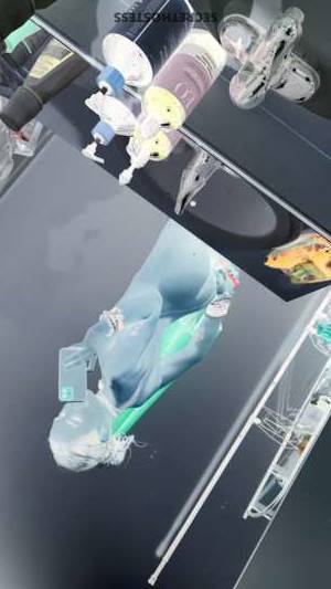 Ashley 25Yrs Old Escort New Brunswick NJ Image - 3