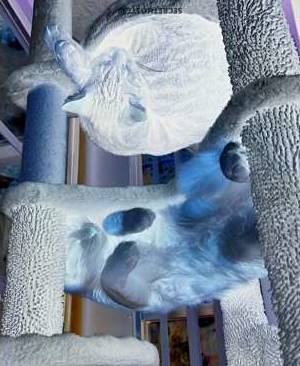 Ashley 30Yrs Old Escort 165CM Tall Reading PA Image - 1