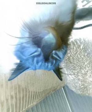 Ashley 30Yrs Old Escort 165CM Tall Reading PA Image - 4