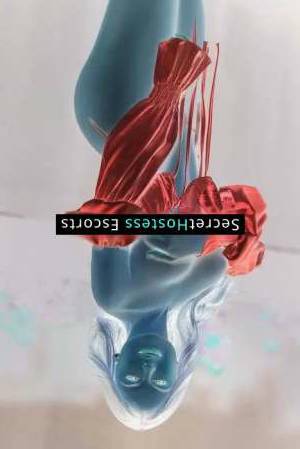 25 year old Brazilian Escort in Athens Babi
