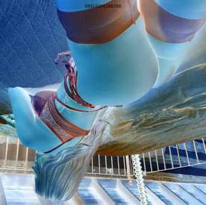 Beverly 27Yrs Old Escort Nanaimo Image - 6