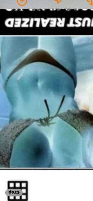 Damsel 46Yrs Old Escort Austin TX Image - 2