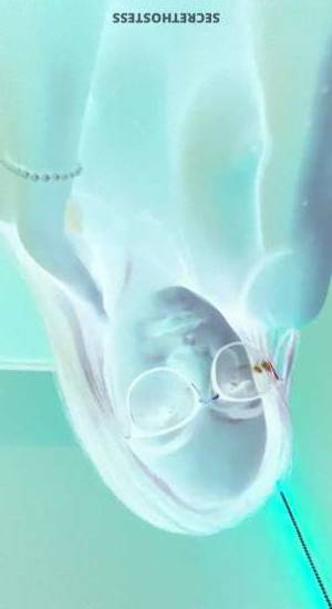 Lisa 24Yrs Old Escort Nova Scotia Image - 8