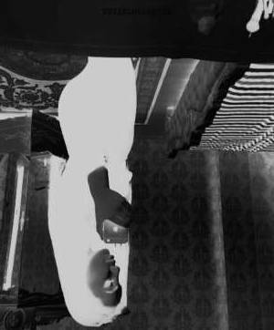 28 year old Russian Escort in Dubai Vero - Russian Anal BDSM Strip