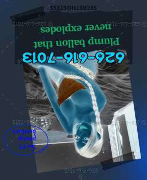 23Yrs Old Escort San Jose CA Image - 1