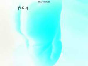 26Yrs Old Escort Size 10 Greenville SC Image - 1