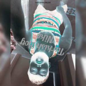 27 year old Turkish Escort in Baku Turkish XL Male Escort in Azerbaijan Unmatched Erotic 