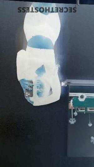 Alizae 23Yrs Old Escort Killeen TX Image - 3