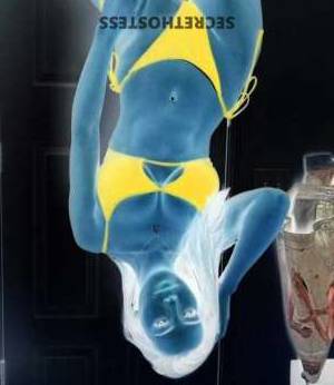 Allison 25Yrs Old Escort Los Angeles CA Image - 3