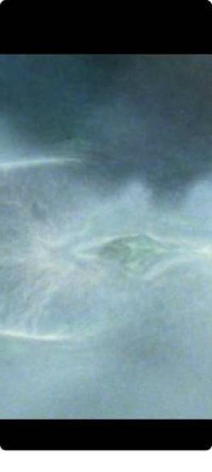 Ashlee 39Yrs Old Escort Houma LA Image - 1