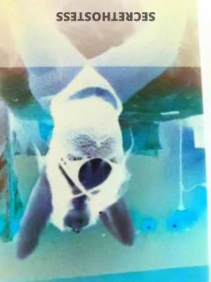 BELLABANKXX 25Yrs Old Escort Space Coast FL Image - 3