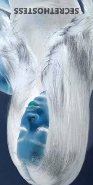 24 year old Escort in Detroit MI Exceptional Pleasure Naughty and Flirty Bri awaits for Your 