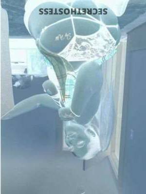 21 year old Middle Eastern Escort in Springfield MA Iranian kitty here from Los Angeles, darling! I'm a 