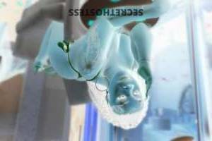 China 23Yrs Old Escort Harrisburg PA Image - 1