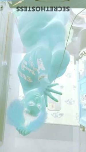 Diamond 24Yrs Old Escort Washington DC Image - 3