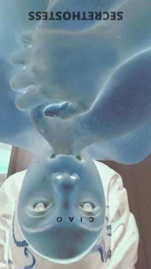 25 year old Escort in Bakersfield CA DiamondDyme Warm You Up and Suck You Dry! Incalls, Outcalls