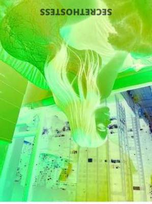 Giselle 25Yrs Old Escort Los Angeles CA Image - 1