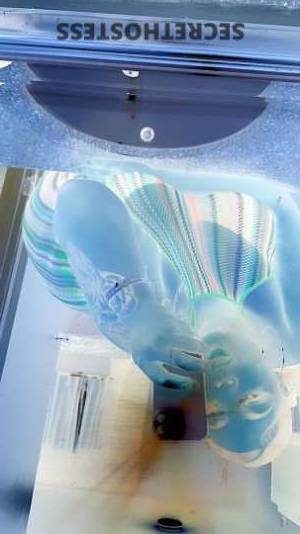 Jasmine 23Yrs Old Escort Stockton CA Image - 1