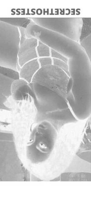 Jazzy 20Yrs Old Escort Fargo ND Image - 5