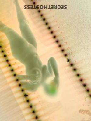 22 year old Latino Escort in Clarksville TN Seductress Seeks Serious Inquiries for Mind-Blowing Pleasure