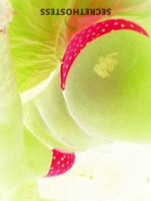 KKay 40Yrs Old Escort Monroe LA Image - 1