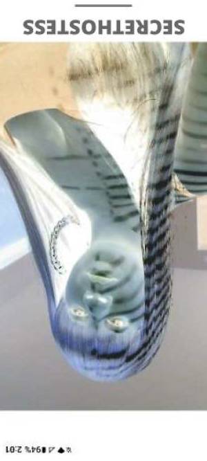 Lauren 29Yrs Old Escort 160CM Tall Buffalo NY Image - 6