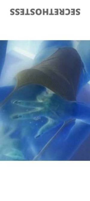 Lexi? 40Yrs Old Escort Dayton OH Image - 4