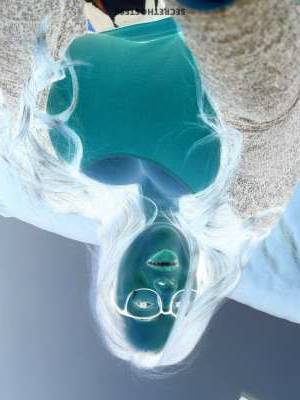 29 year old Escort in Pittsburgh PA curvaceous Babe with Nice Boobs and Passion for Doggy Style 