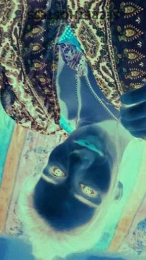 Rachel 25Yrs Old Escort Saint Louis MO Image - 6