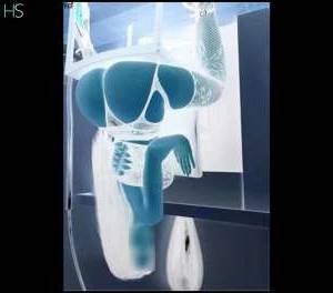 25 year old American Escort in Nottingham Experience the Unparalleled Pleasure of Ruby, Your Flirty &