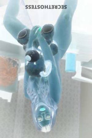 23Yrs Old Escort Eau Claire WI Image - 3