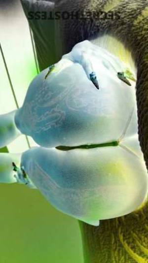 23Yrs Old Escort Columbia SC Image - 1