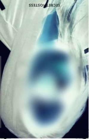 35Yrs Old Escort 154CM Tall New Delhi Image - 2