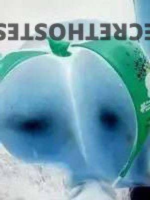 43Yrs Old Escort Oklahoma City OK Image - 1
