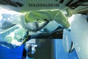 Asher 26Yrs Old Escort Olympia WA Image - 3