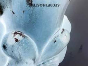 25 year old Escort in Kansas City MO Hot and Horny Chick Offering BBJ or QV Specials! Incall or 