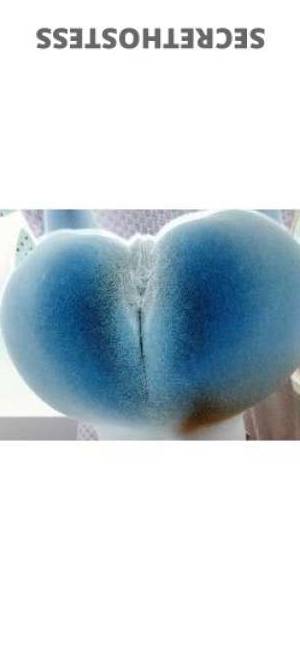 22 year old Escort in South Bend IN Experience the Silky Wealth of My Youth - 22-Year-Old Beauty