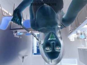 25 year old Escort in Roma Naughty Encounter with a Stunning Lady Anal Sex, Sodomy, 