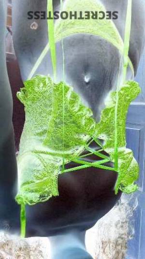 Exotica 21Yrs Old Escort Inland Empire CA Image - 2