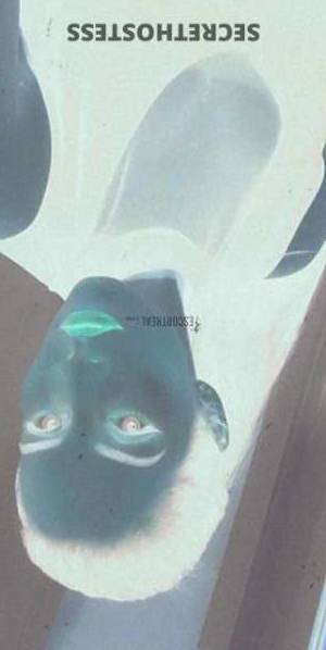 25 year old Irish Escort in Roma lia69 Let's plan fun