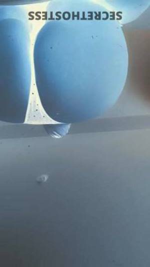 23 year old French Escort in Raleigh-Durham NC New girl in town Let's make unforgettable memories 