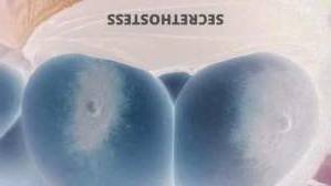 Sapphire 26Yrs Old Escort Olympia WA Image - 4