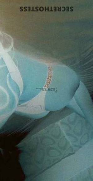 25Yrs Old Escort 65KG 180CM Tall Roma Image - 1