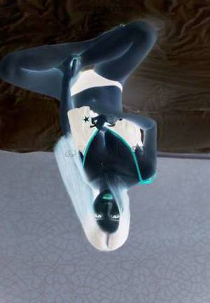 21Yrs Old Escort 47KG 168CM Tall Jeddah Image - 1