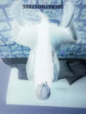 26 year old Escort in Charlotte NC WET, WILD AND READY TO PLEASE Young Escort Offers CIM and 