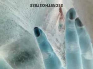 35 year old Escort in Chicago IL BBW Companion for Sensual Pleasures and Adventures in the 
