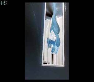 Sofia 25Yrs Old Escort Truro Image - 8