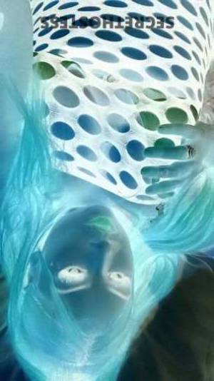 Vanessa 24Yrs Old Escort Oakland CA Image - 1